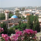 zzz mosque and flowers