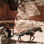 horse and carriage in Petra
