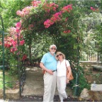 dan and naz lebanon flower grotto