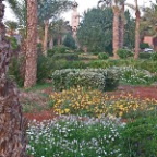 morocco garden