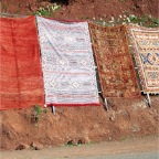 carpet in mountains