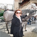 nazy and horses