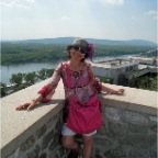 nazy above the danube