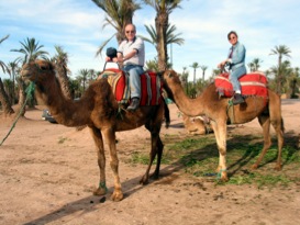 camels dan and nazy